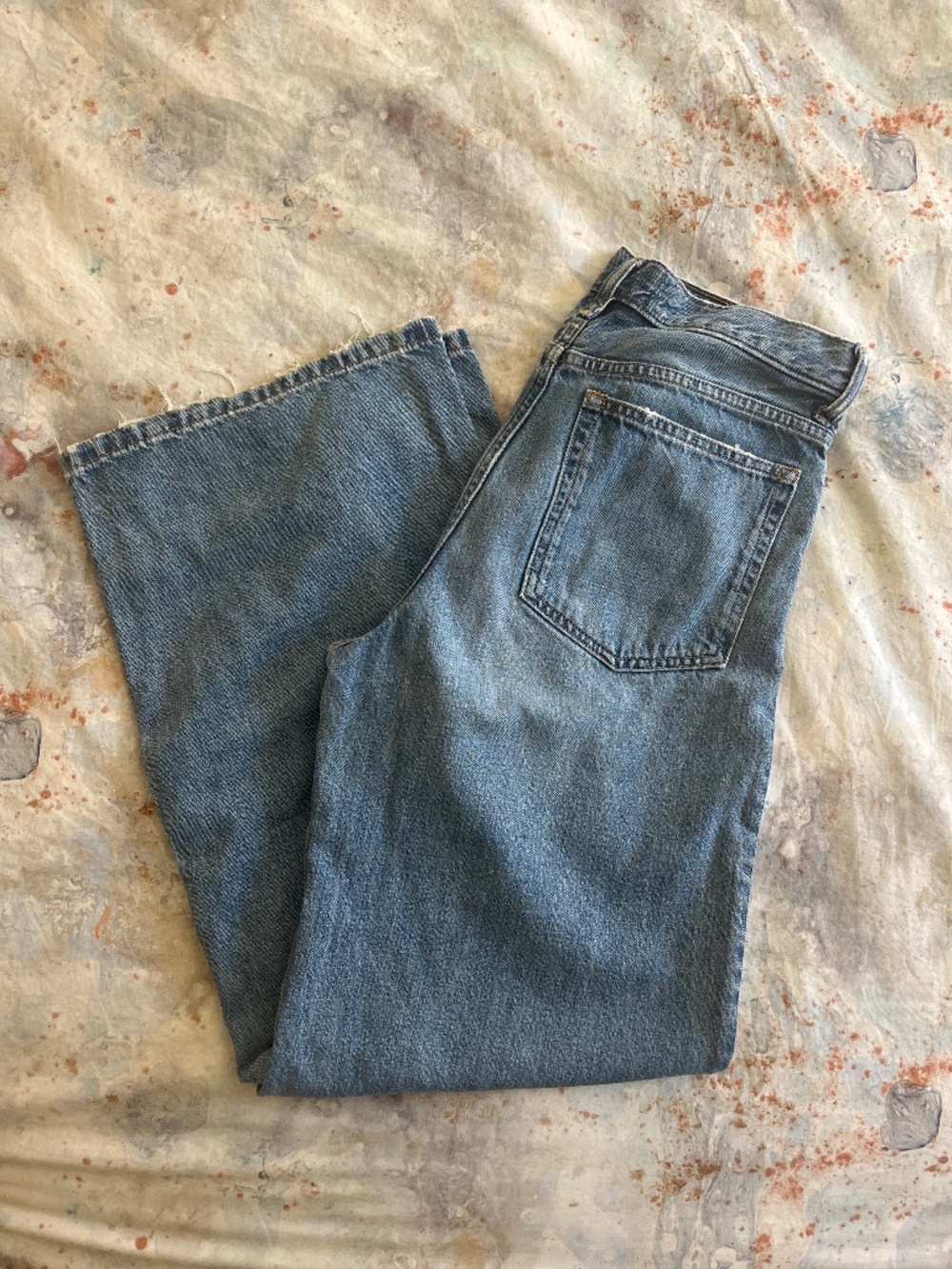 Everlane Baggy Jean in Ricky **READ DESCRIPTION**